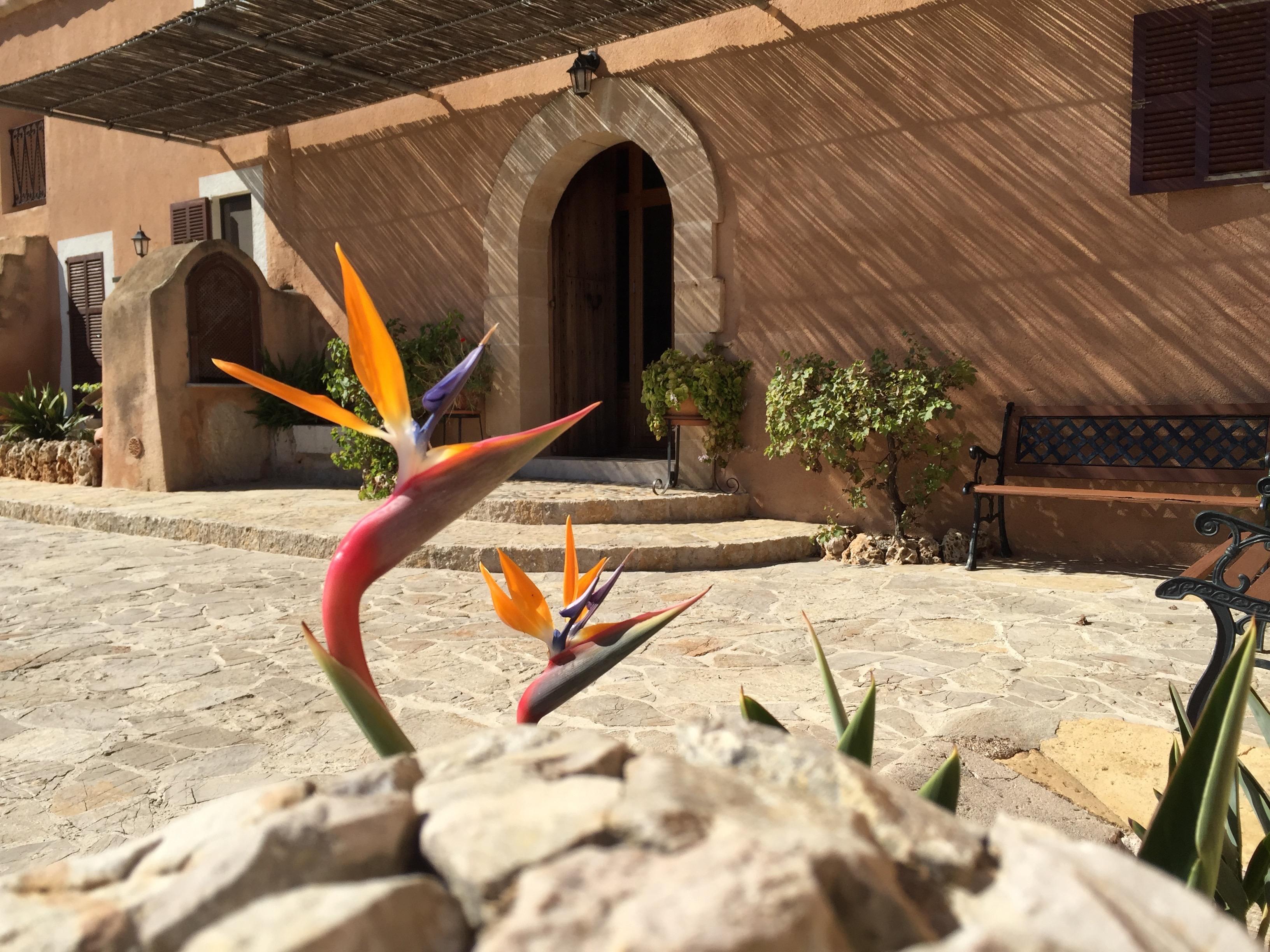 Agroturisme Es Picot Son Macia  Esterno foto