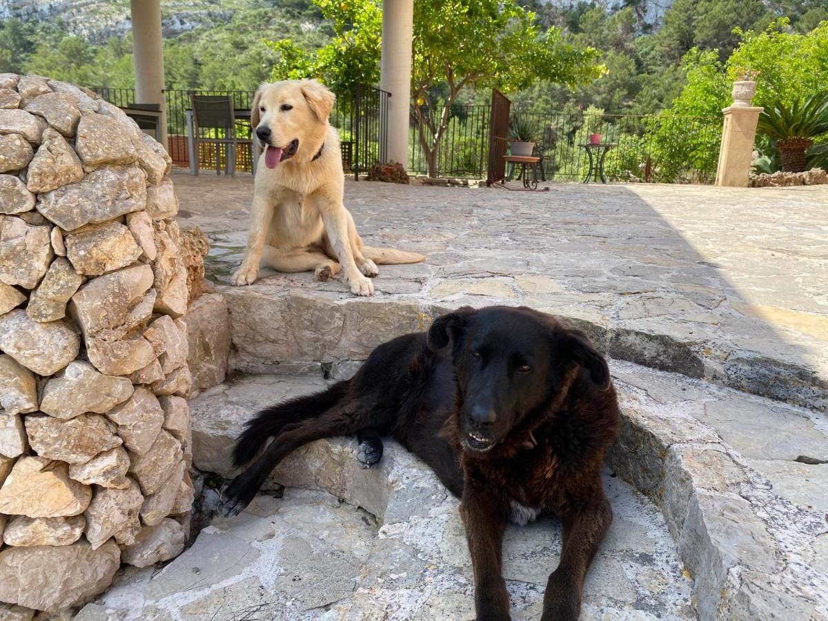 Agroturisme Es Picot Son Macia  Esterno foto