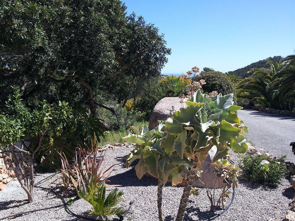 Agroturisme Es Picot Son Macia  Esterno foto