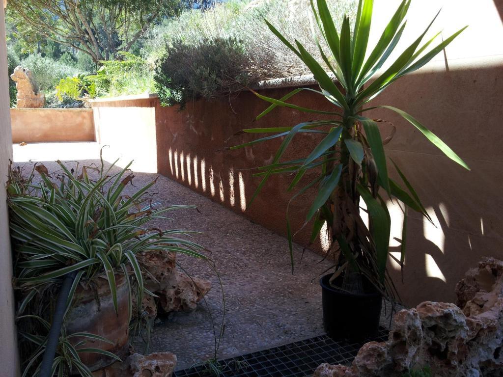 Agroturisme Es Picot Son Macia  Camera foto